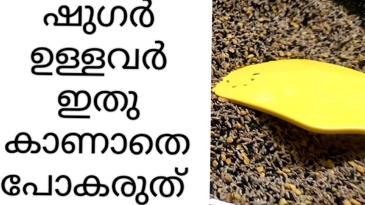 രാവിലെയും രാത്രിയിലും ഇതുകുടിക്കൂ ഷുഗർ  മാറിക്കിട്ടും
