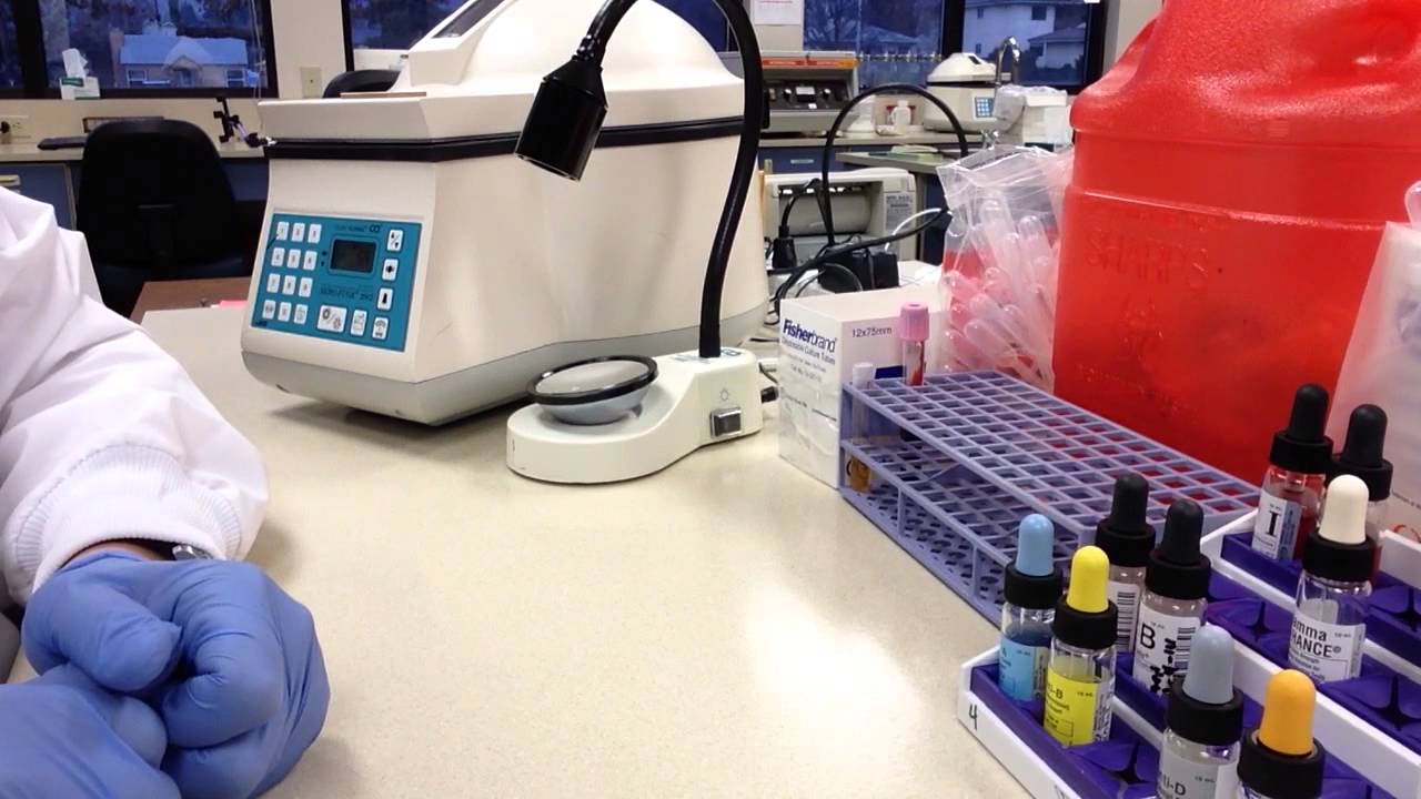 Blood Bank - 3% RBC Suspension