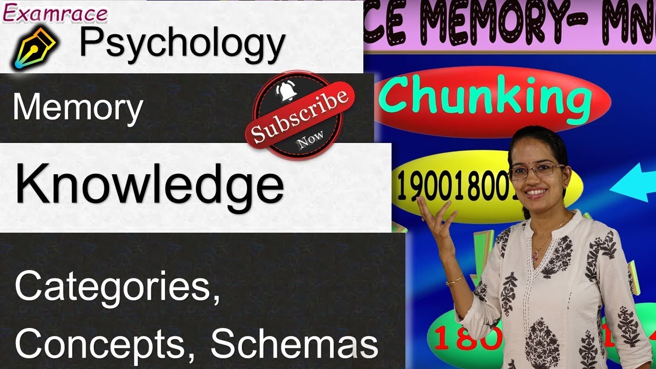 Knowledge Representation: Categories, Concepts, Schemas | Psychology Memory