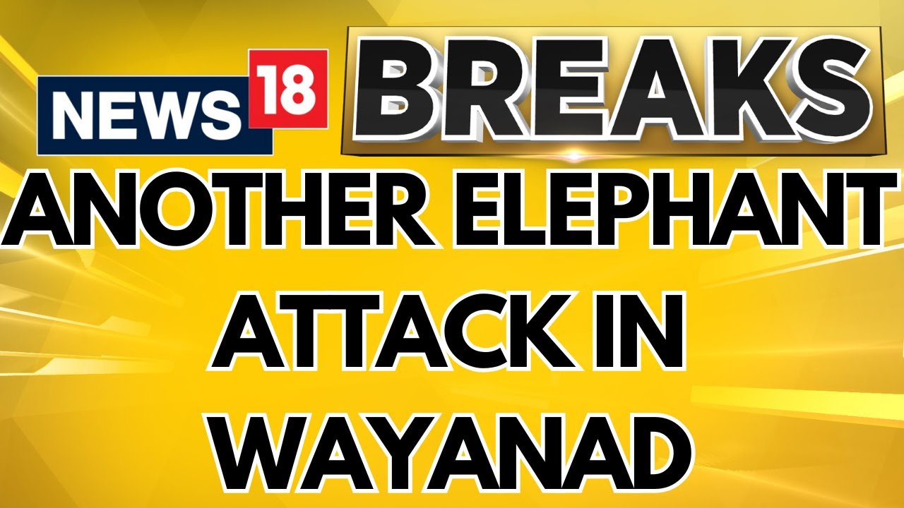 Another Man Killed In Wild Elephant Attack In Wayanad, Second In 48 Hours | Elephant Attack | News18