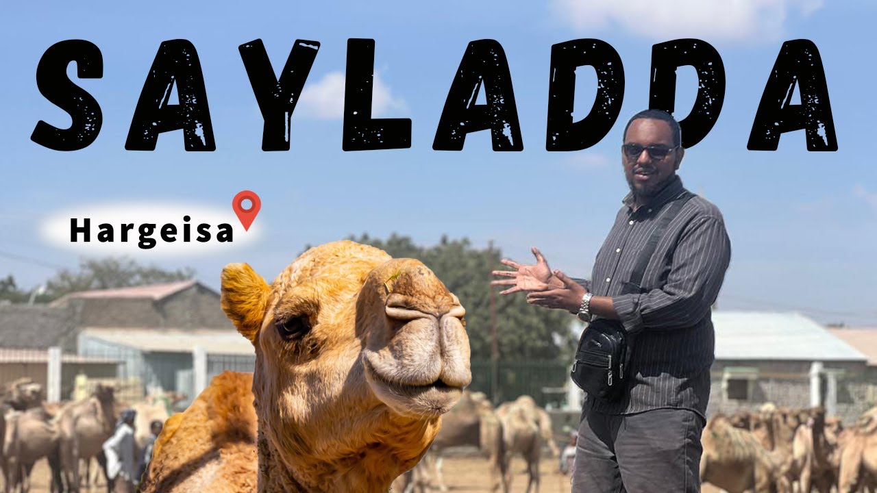 Waxaan soo booqdy sayladda caasimadda Hargeisa | Mubarak Carab