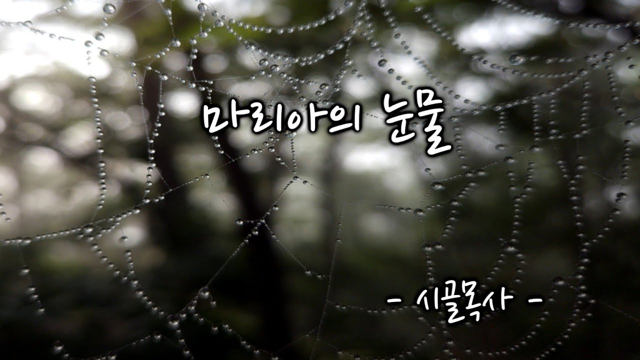 [CCM] 마리아의 눈물