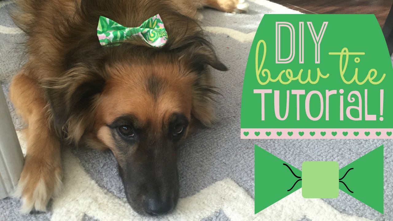 DIY Dog Bow Tie Tutorial