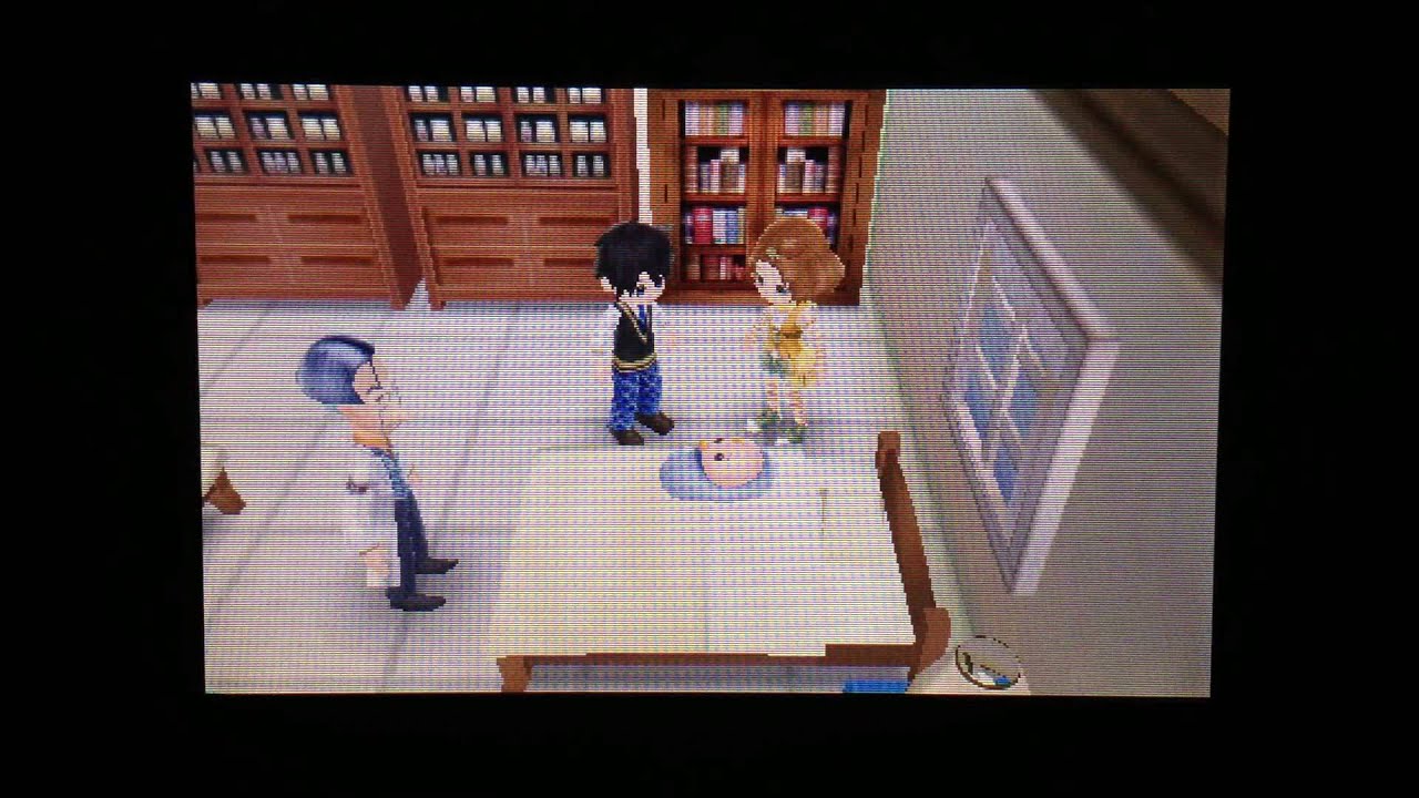 Harvest Moon A New Beginning - Baby Birth Event with Tina