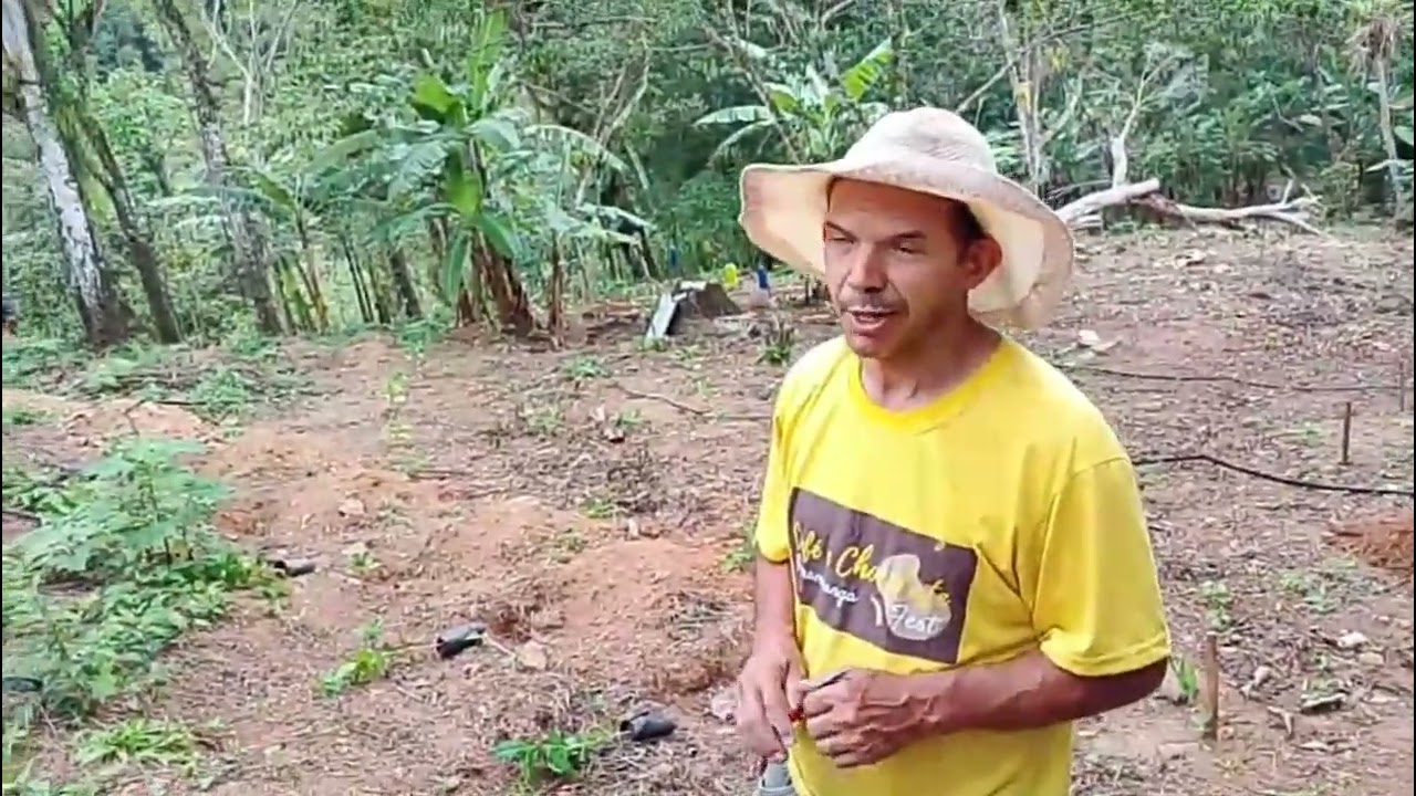 Mostrando a plantação 🍃