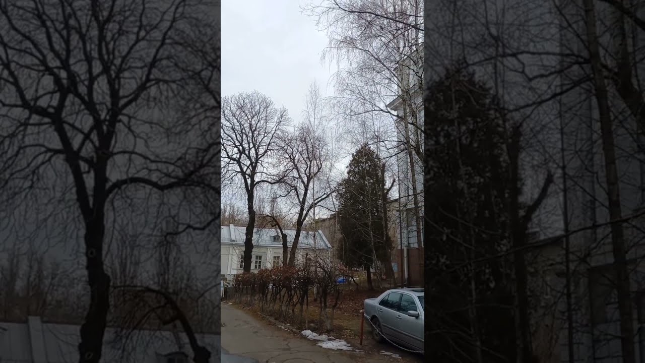 Tereschenkivska Street, Kyiv, Ukraine. 16.february.2023. +3C. Sunny.