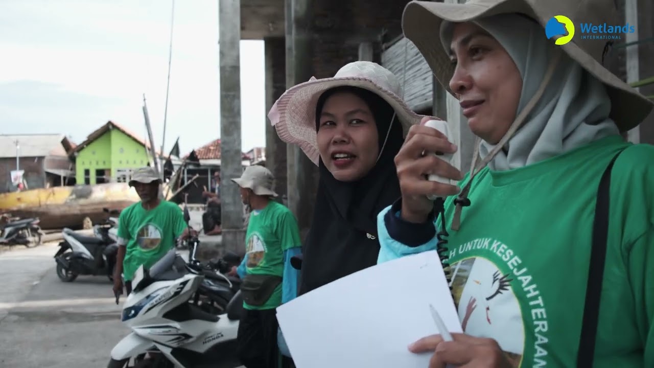 Kembalinya Mangrove yang Hilang