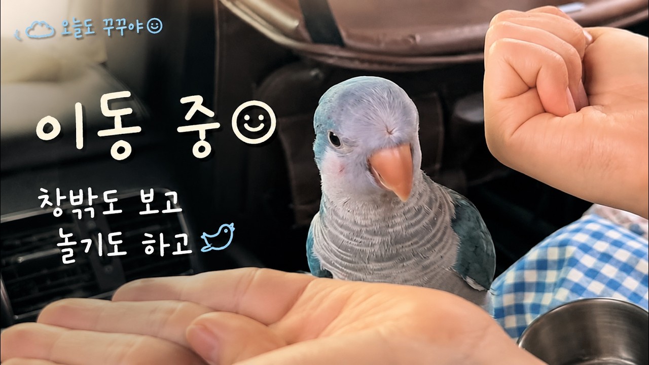 이동 중⭐
