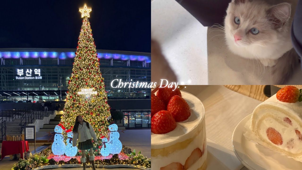 2025• 크리스마스브이로그// 이재모피자, 귀여운 동물들..🎅🎄