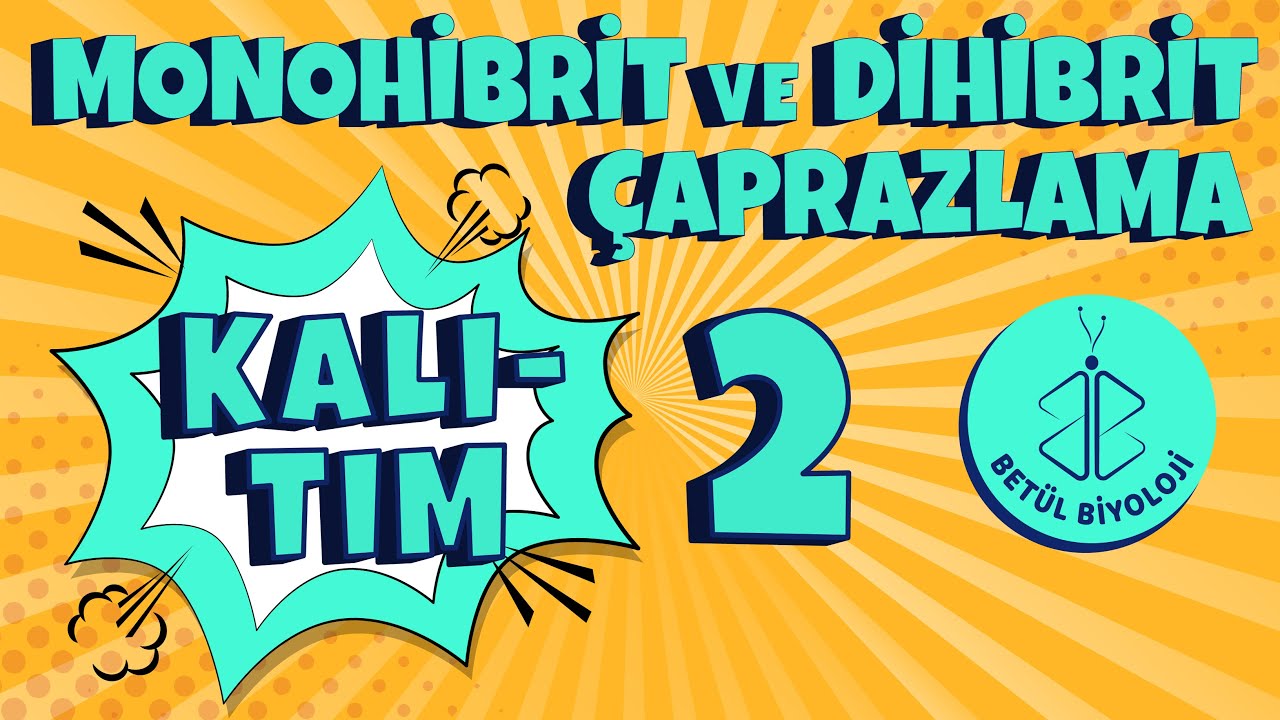 Kalıtım #2 | Monohibrit ve Dihibrit Çaprazlama | 10. Sınıf Biyoloji Konu Anlatımı | TYT Biyoloji
