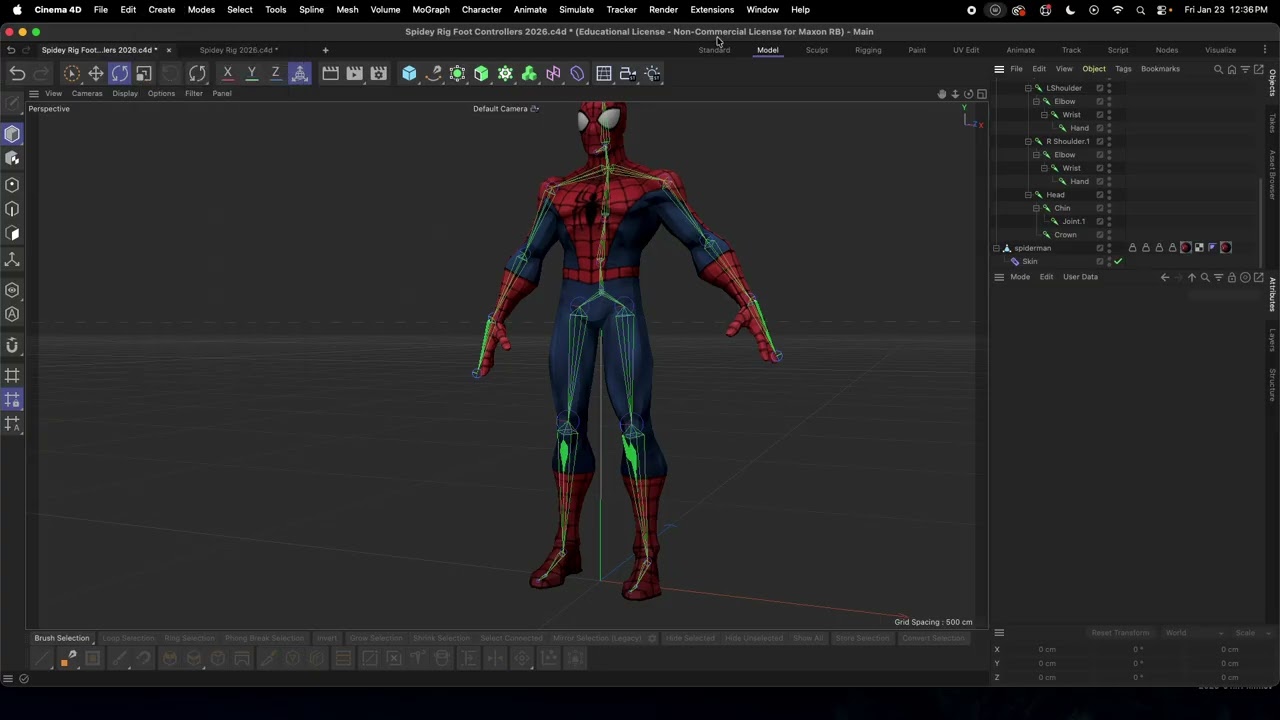 Skin Weight & Foot Controllers