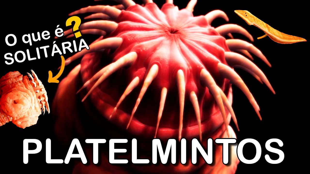 Platelmintos: caracter&iacute;sticas, exemplos e curiosidades incr&iacute;veis!