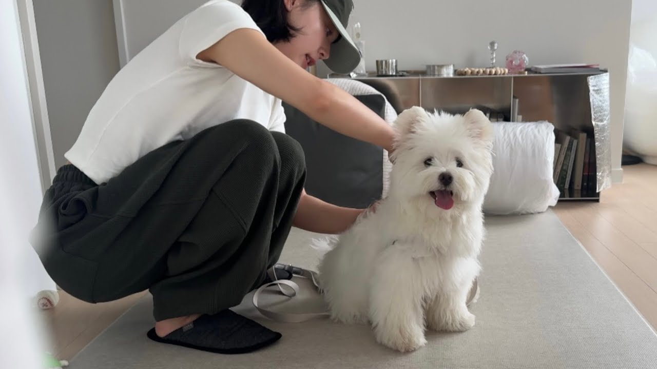 나도 여기서 살래(살구 입양일기)