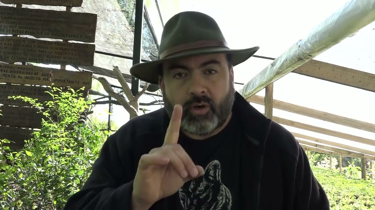 EL COPIHUE Y SU GÉNESIS DE REPRODUCCIÓN