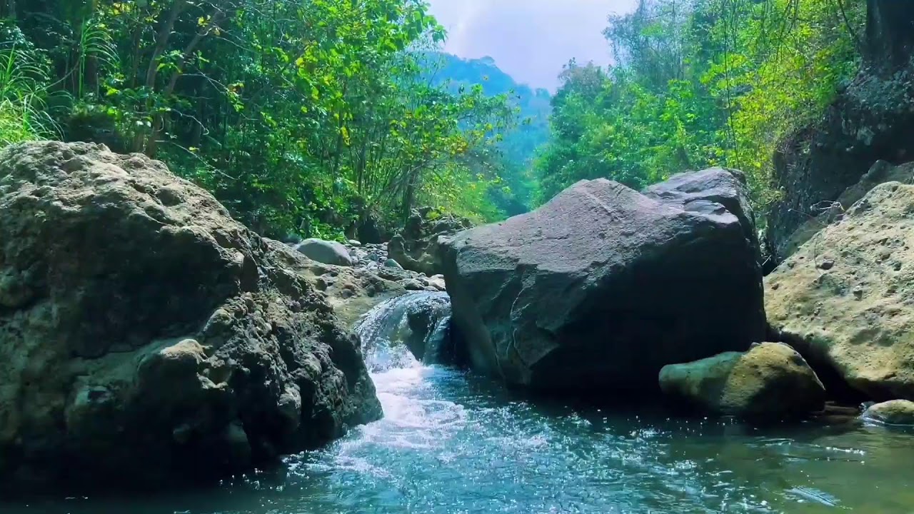 Peaceful River Flow  for Sleeping | Relaxing Nature Sounds White Noise for Sleep, Focus & Meditation