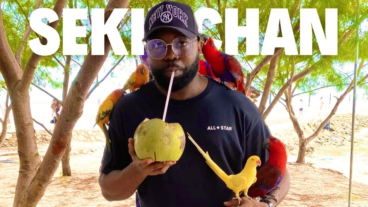 Thrilling Adventure at Sekinchan Beach Pantai Redang | Paddy Field Kuala Selangor