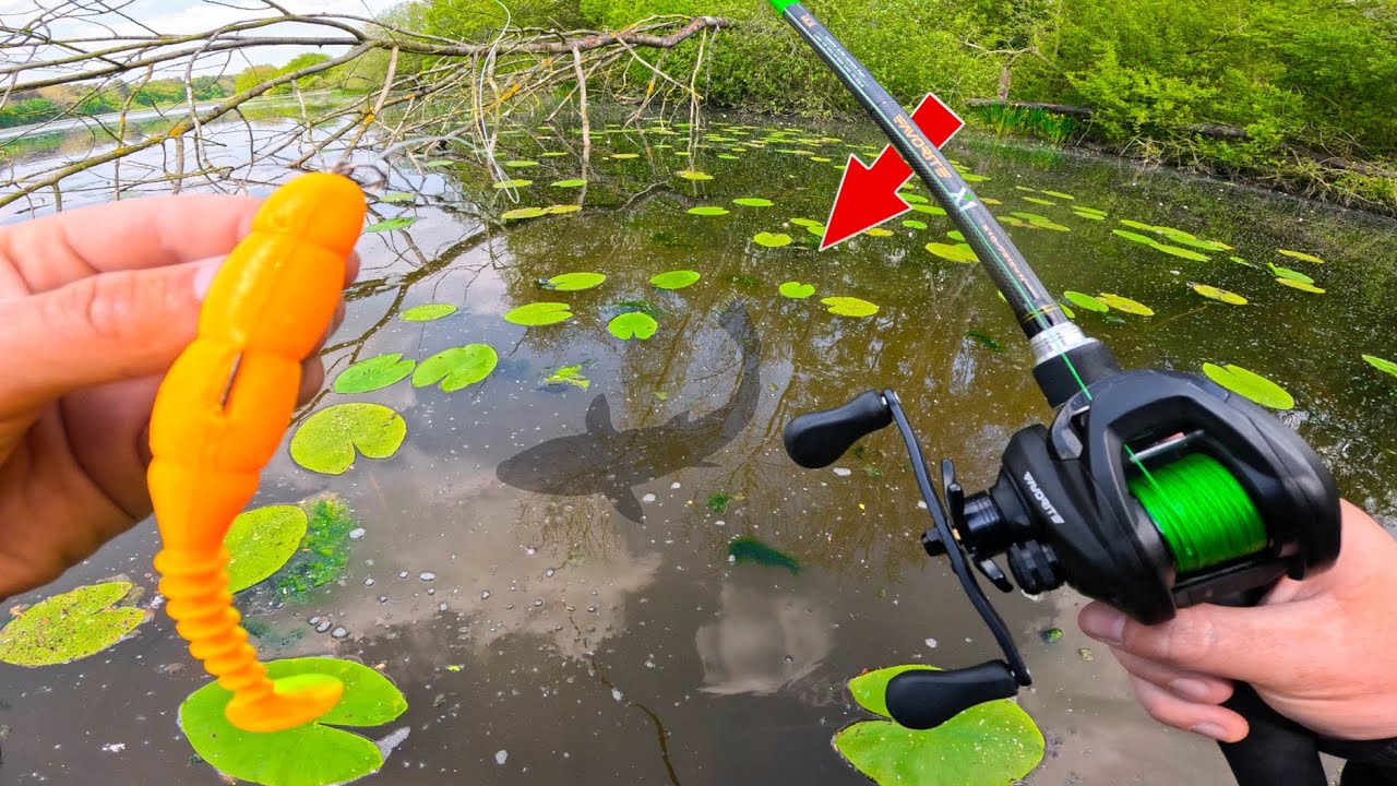 Je ne m’attendais pas à ça en pêchant cet étang ultra encombré pour l’ouverture du brochet 2024 !!