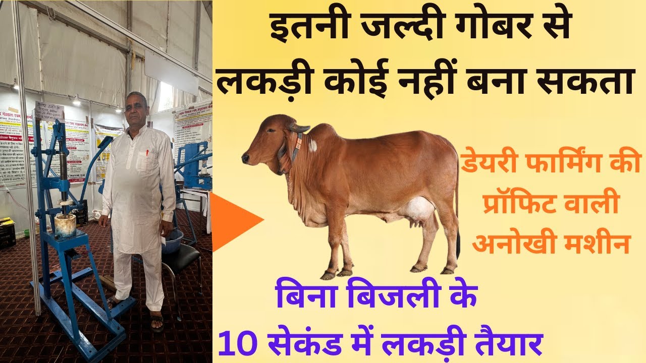 बिना बिजली के गोबर से लकड़ी बनाने वाली मशीन, गौशाला के घाटे को प्रॉफिट में बदल देगी । Mati India ।