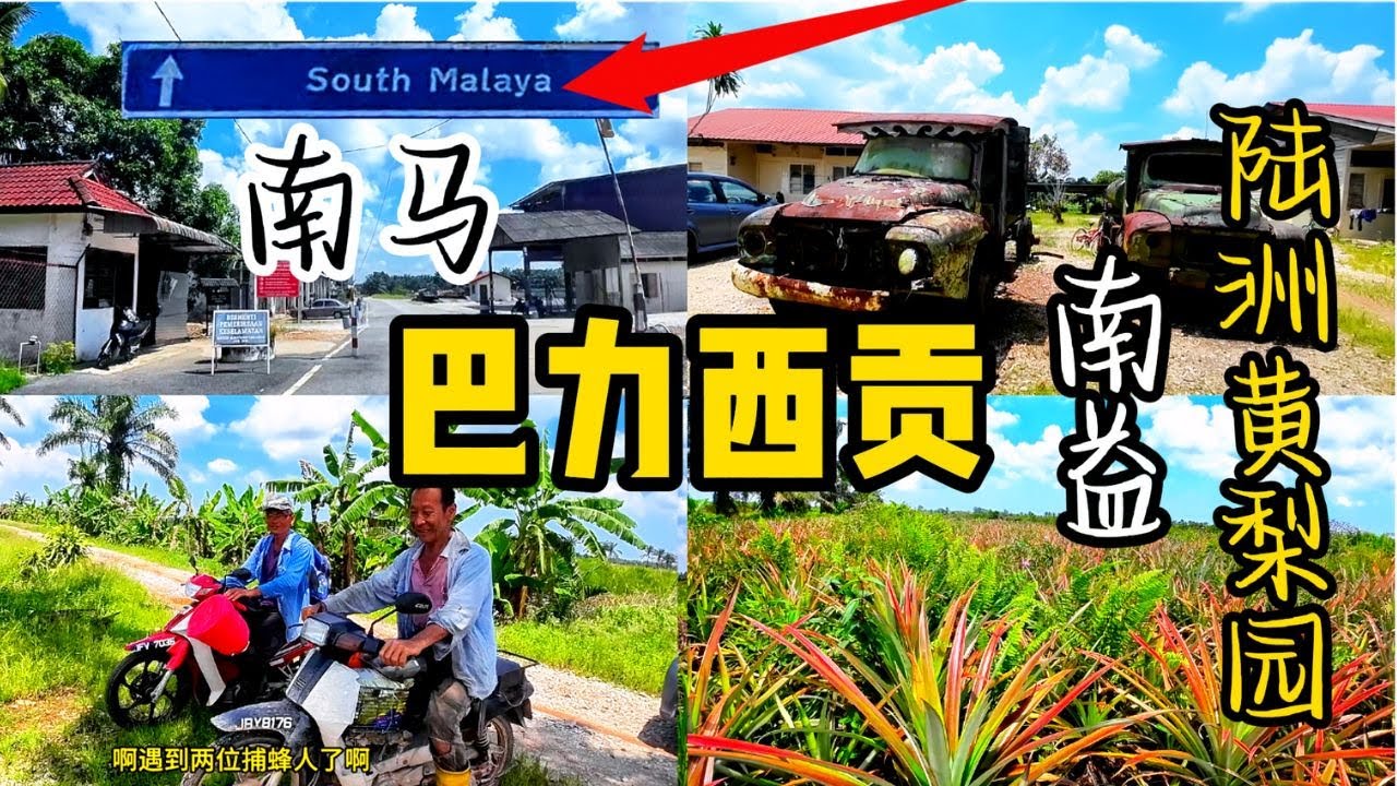 黄梨园 / Pineapple / Parit Sikom隐藏的回忆 / 南马Estate / 陆洲Ladang Nanas / #笨珍 /