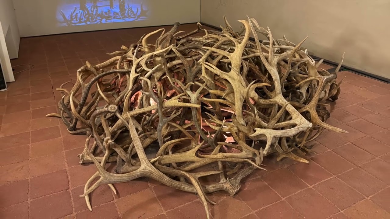 La Venaria Reale   HD 1080p