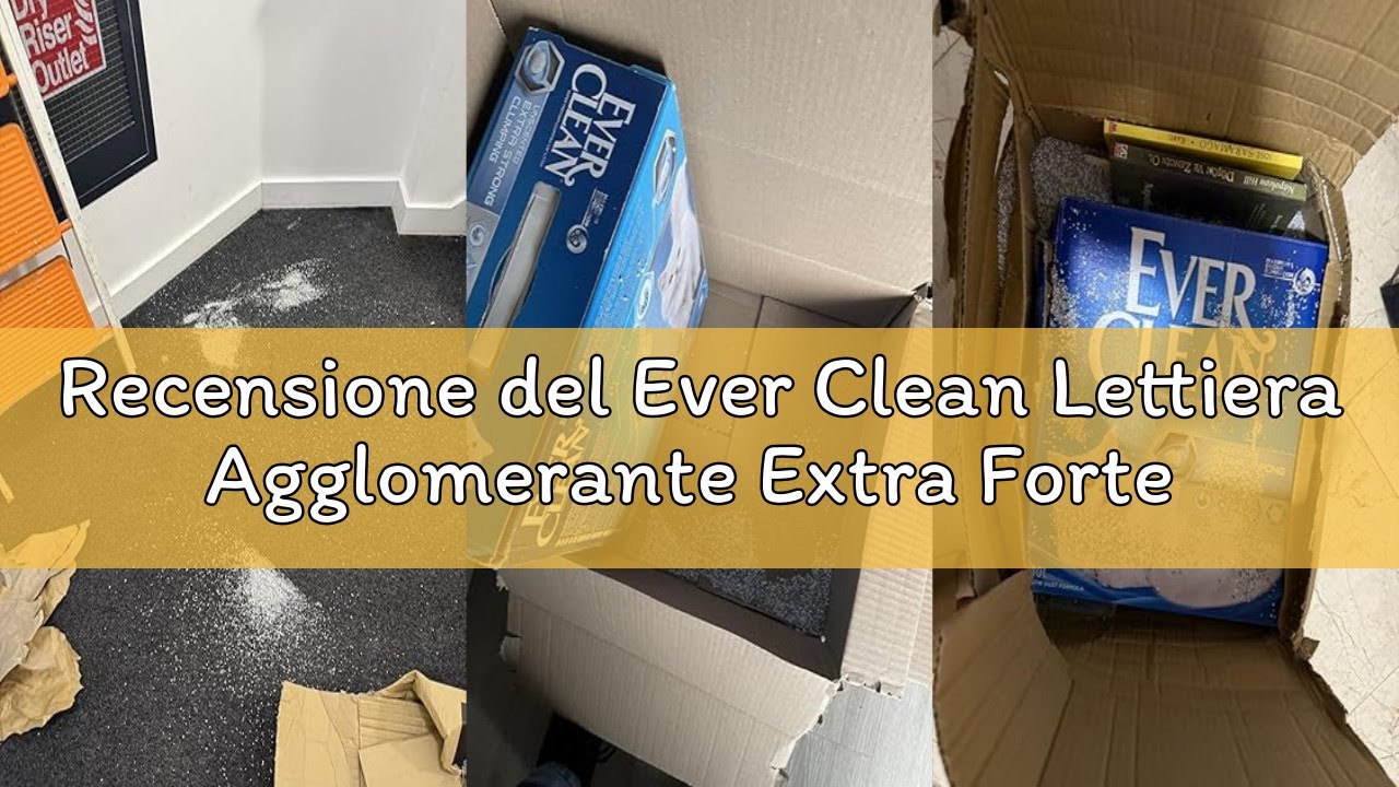 Recensione del Ever Clean Lettiera Agglomerante Extra Forte Ever Clean, 10.Litri, Non Profumata