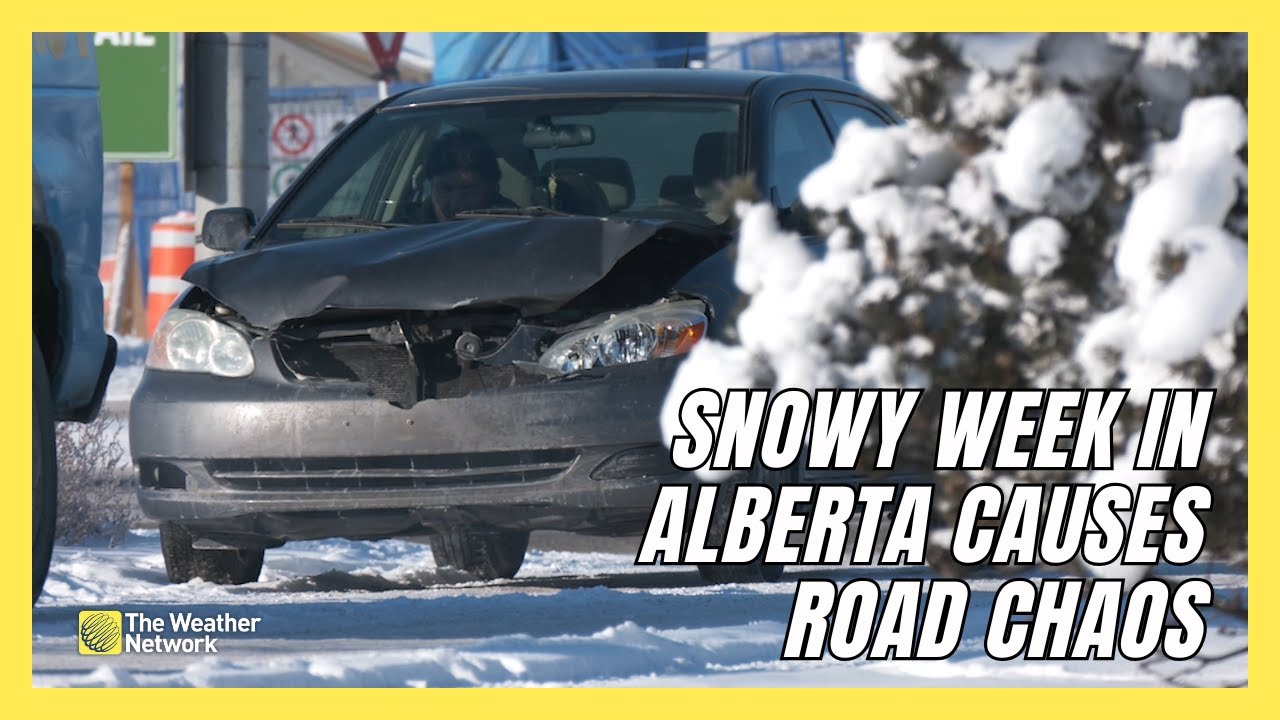 More Than 1000 Collisions in Calgary This Week Prompt Warning From Police