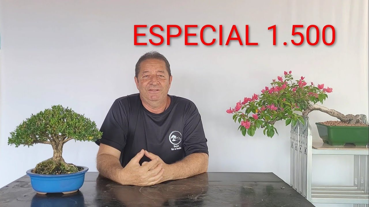 ESPECIAL 1.500 Como me Ingressei no Bonsai 
