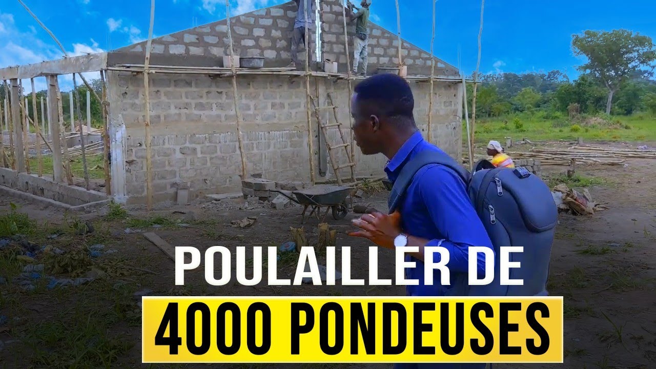 Aviculture : Je vous Présente Mon Poulailler de 4000 Pondeuses !