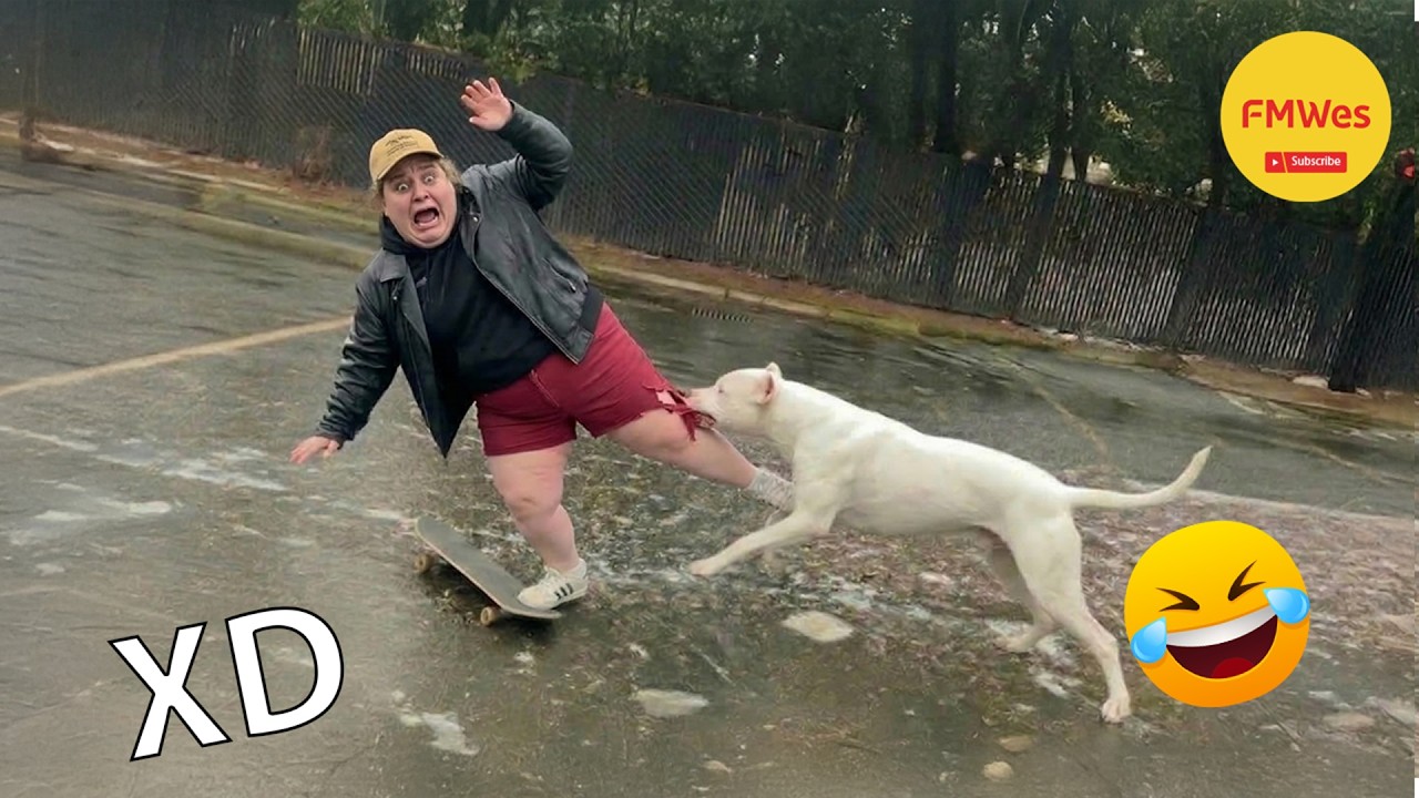 SI TE RÍES PIERDES NIVEL DIOS #664 🤣 VIDEOS DE RISA MUY GRACIOSOS 2026 🤣