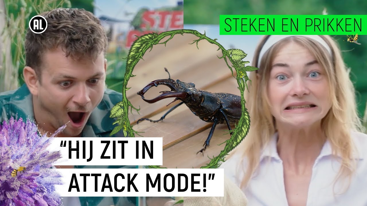 GEBETEN DOOR GROOTSTE KEVER VAN EUROPA!! | Steken & Prikken | seizoen 3 #6 | NPO Zapp
