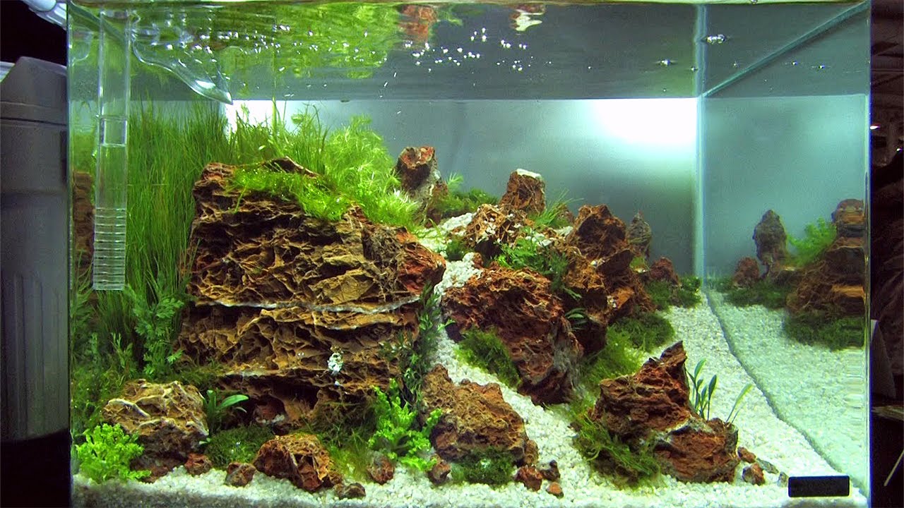 Nano Tanks of the Aquascaping Contest 