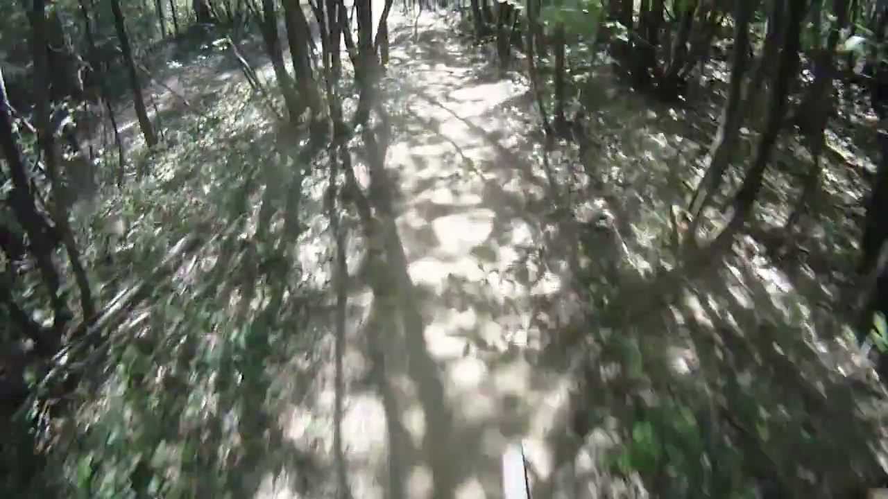 XC Loop Part 4 Bedgebury Mountain Bike Trail Centre Kent