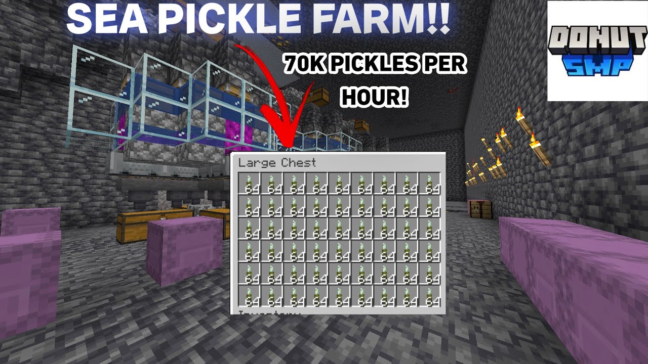 How to make a Sea Pickle Farm on the DONUTSMP! (One of the best money making methods)