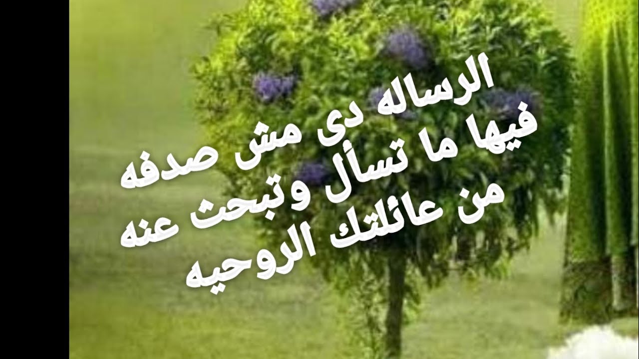 رساله مش صدفه أنها توصلك فيها ما تسال عنه وتبحث رساله من عاىلتك الروحيه