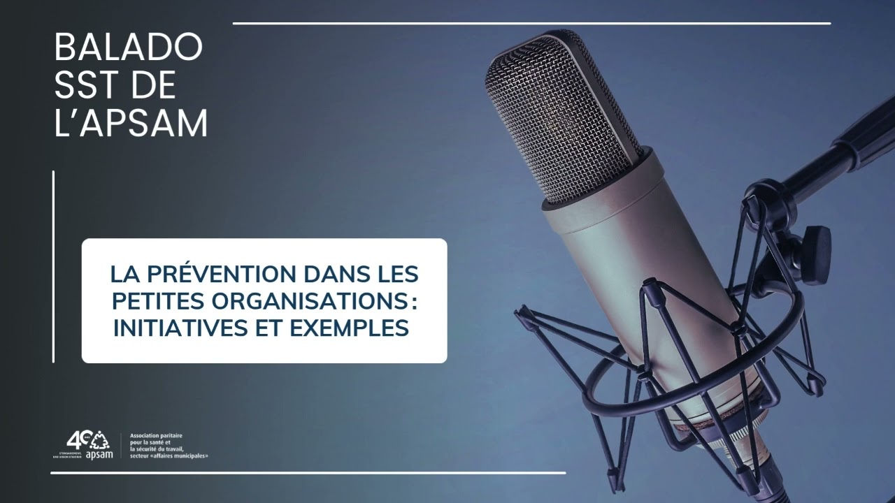 La prévention dans les petites organisations : initiatives et exemples