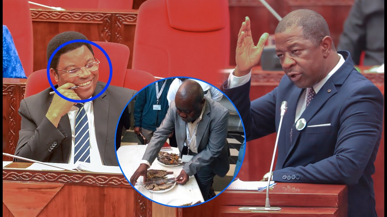 ULEGA AMJIBU MPINA WAZIRI MKUU AANGUA KICHEKO “MPINA MIMI NAKUHESHIMU,ALITAKA NIMWAMBIE ANAKOSEA?”
