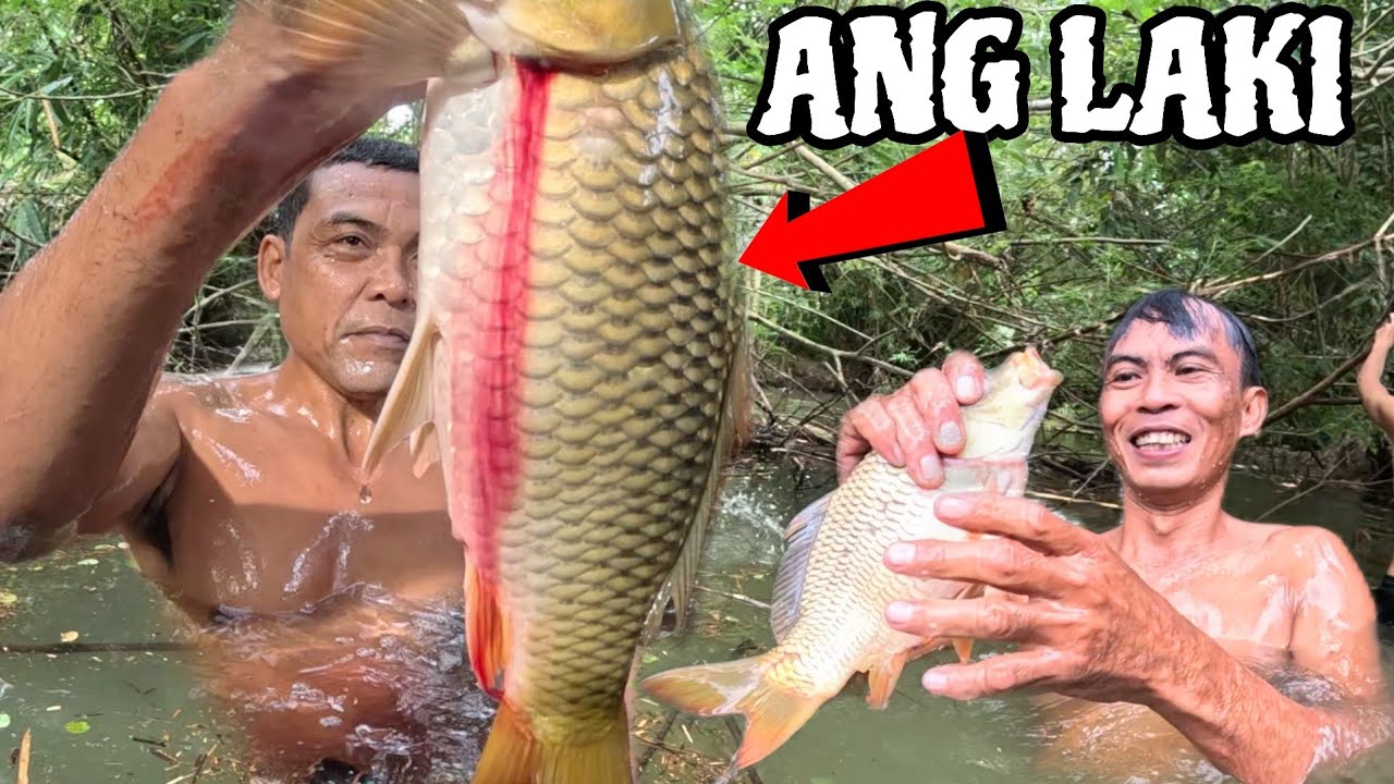 GRABE MALALAKING CARPA SA ILALIM NG ACACIA ANG DAMI