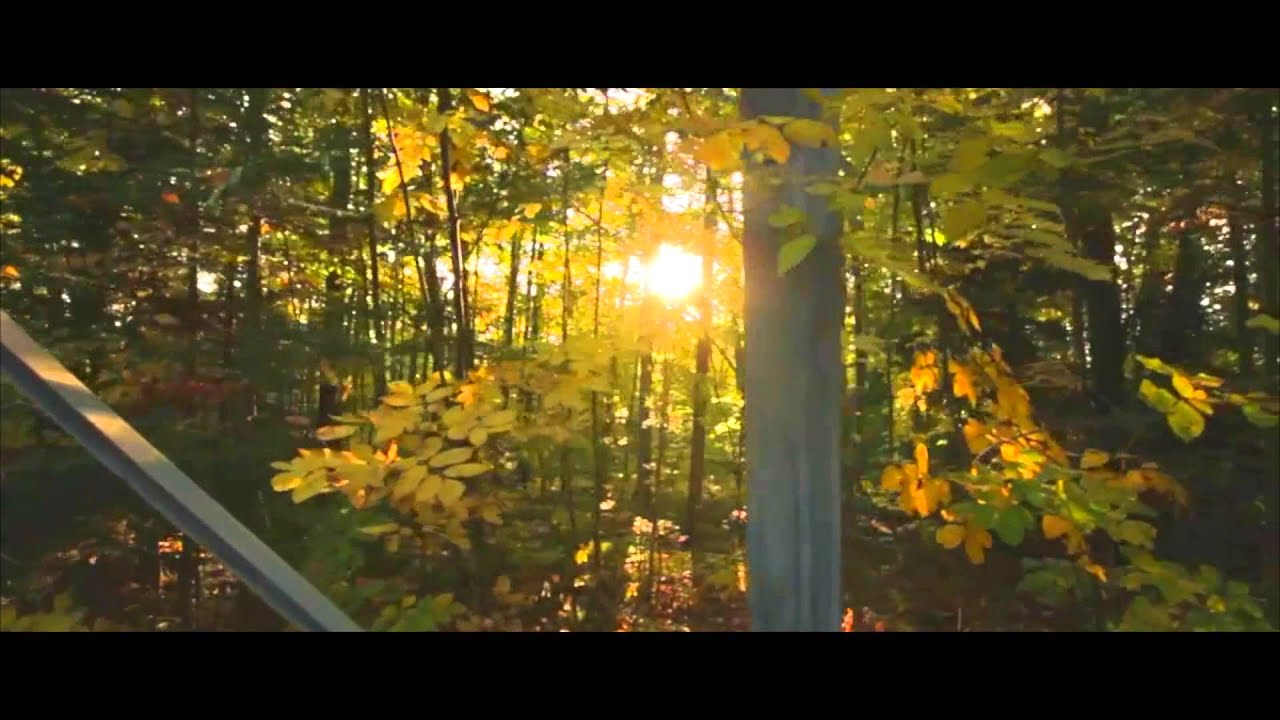 Volcano Choir - Husks and Shells