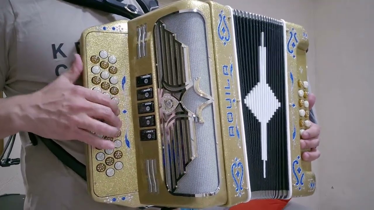 AQUILA ACCORDIONS MY GOLDEN 