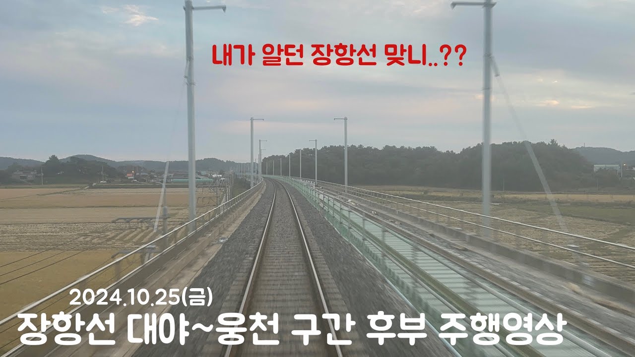 [후부주행] 무궁화호 #1564열차 장항선 대야~대천 구간 후부 주행영상 (2024.10.25)
