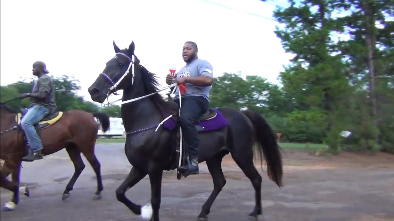 2022 Cass County Trail Ride in Shiloh Texas