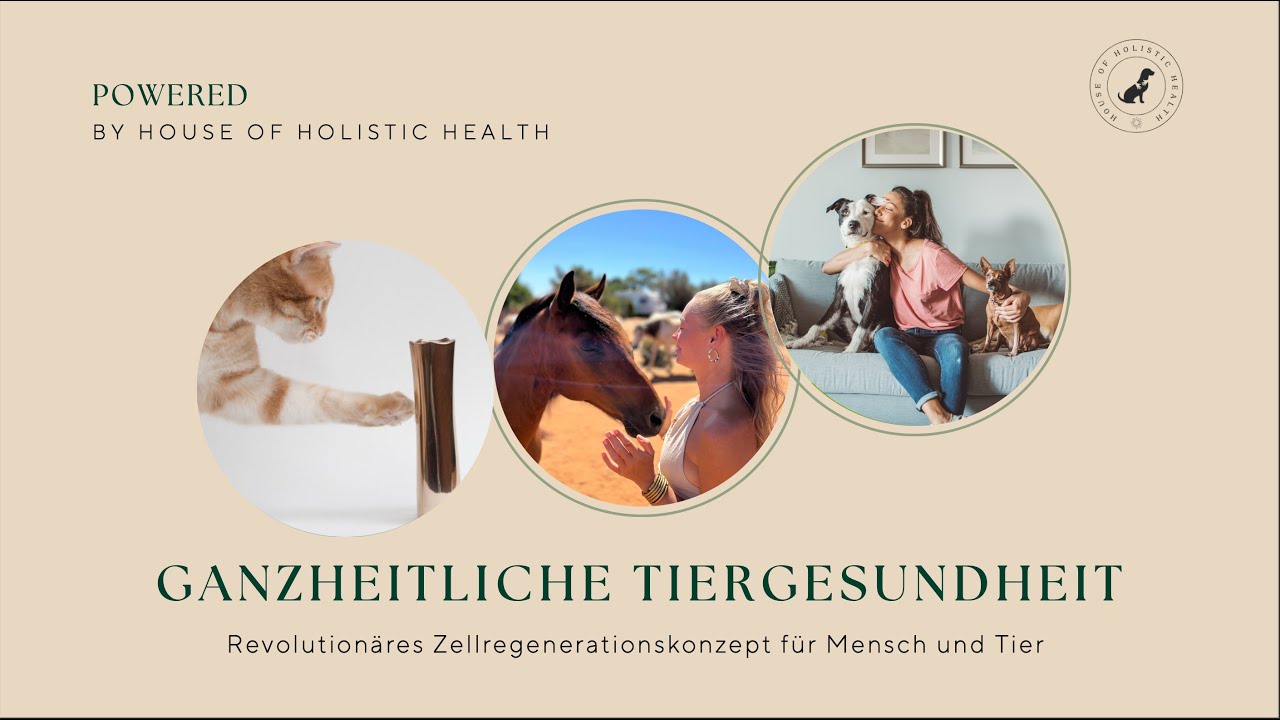 Wenn Tiere hochschwingende Essenzen bekommen – echte Erfahrungen aus der Praxis ✨ LAVYLITES ✨