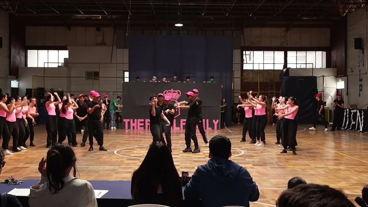 IMITACIÓN OBLIGATORIA ALIANZA JOKER 2025