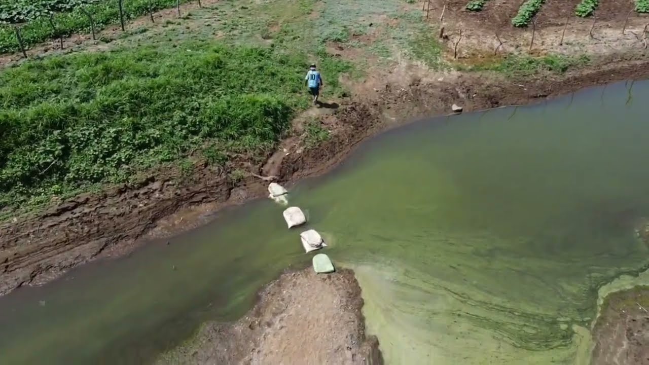 DESDE EL DRON ESTO ES UNA MARAVILLA DE CULTIVOS..