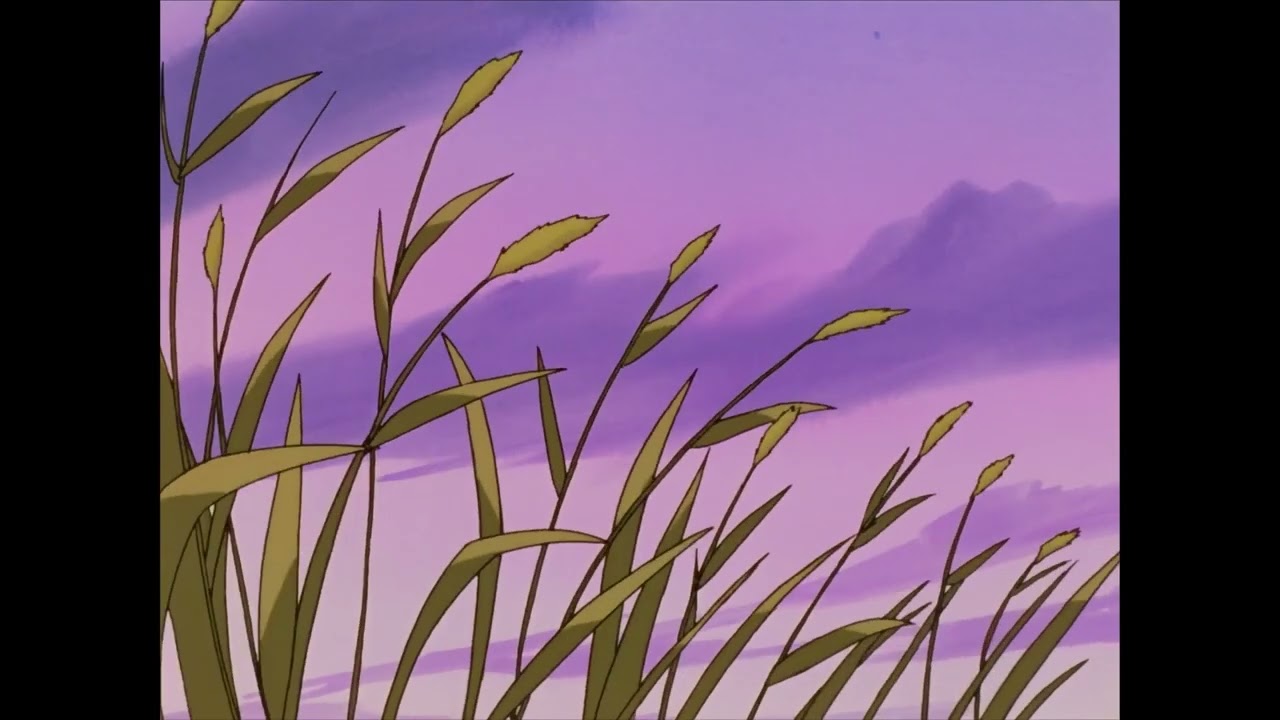 GORAN -  February 14th