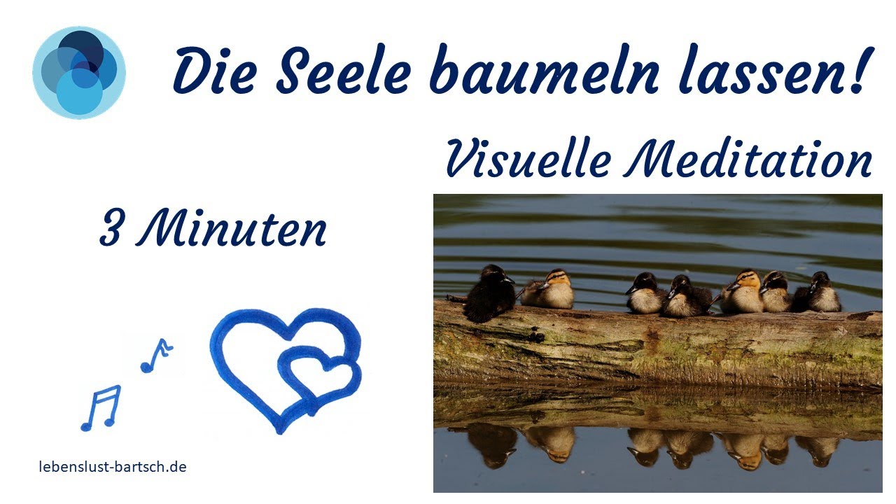 Visuelle Meditation mit Wasservögeln + ihren Küken, Entspannung in 3 Minuten, Klavier, Klassik