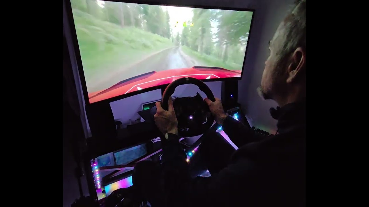 Assetto Corsa Rally, my record in the rain 