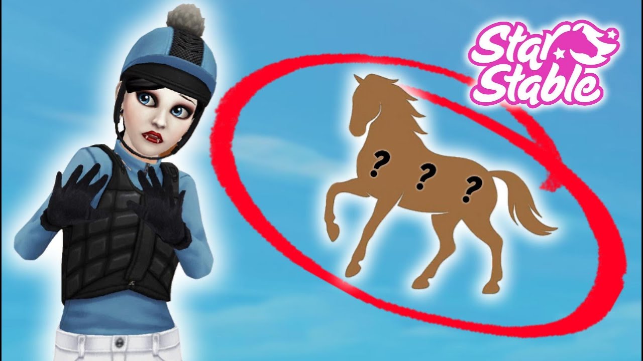die SCHWERSTE Entscheidung! 🤫🐴 SSO Pferdekauf