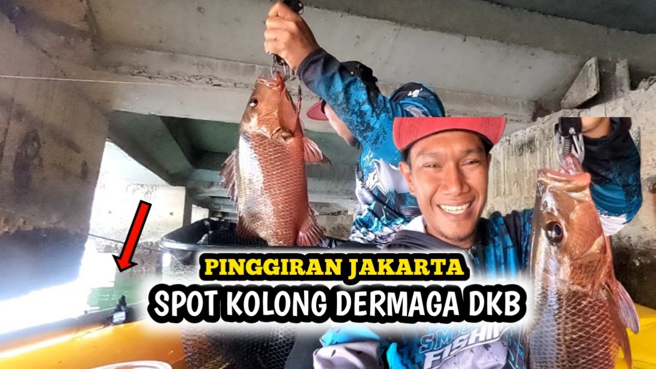 Mancing Di Sarang Ikan Mangrove jack, Di Kolong Dermaga Tanjung Priok #inflatable