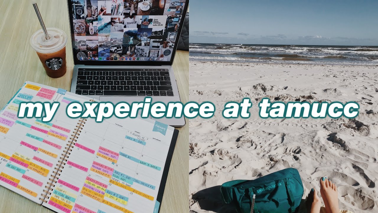 My Experience At TAMUCC So Far...